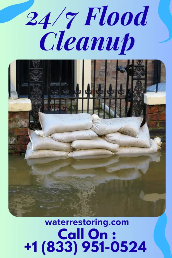 24/7 Flood Cleanup in Newington Forest, VA