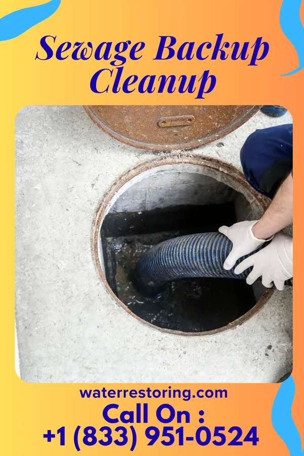 Sewage Backup Cleanup in Newington Forest, VA