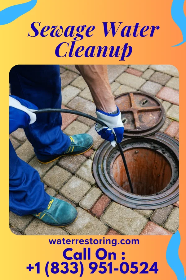 Sewage Water Cleanup in Newington Forest, VA